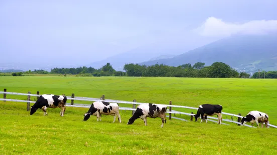 Chulu Ranch