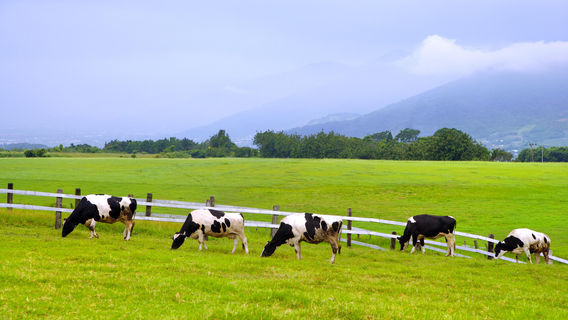Taitung