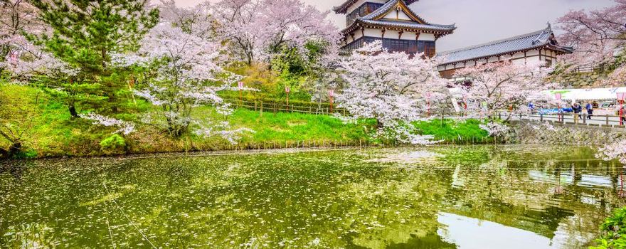 Koriyama Castle Ruins