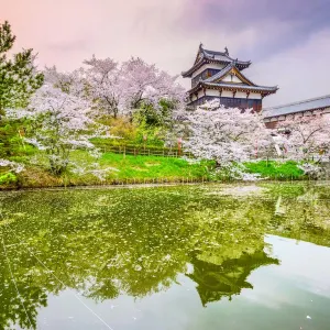 Koriyama Castle Ruins