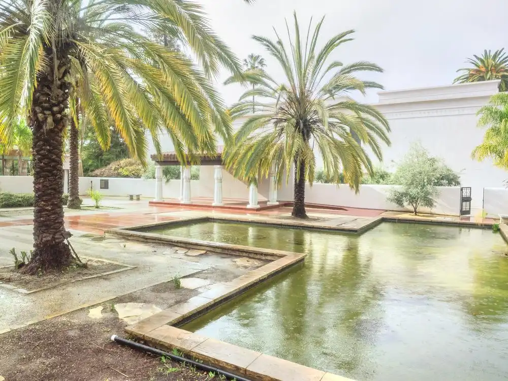 Hotels near Rosicrucian Egyptian Museum