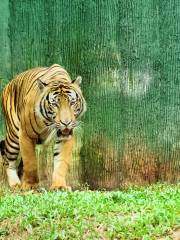 馬六甲動物園