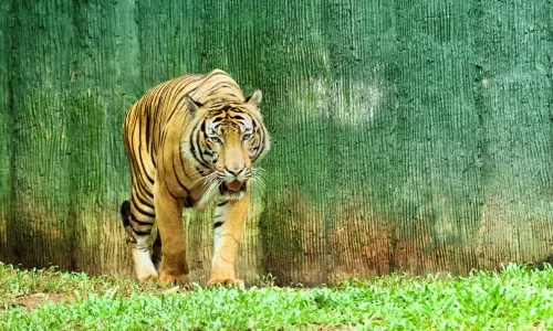 Zoo Melaka