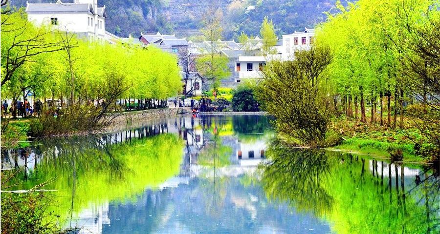 DafangTours