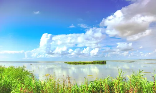 Xingkai Lake Westland Park