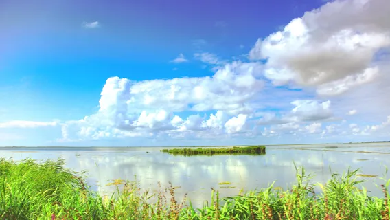 Xingkai Lake Westland Park