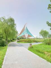 灞橋生態濕地公園
