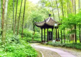 Yunqi Bamboo Trail