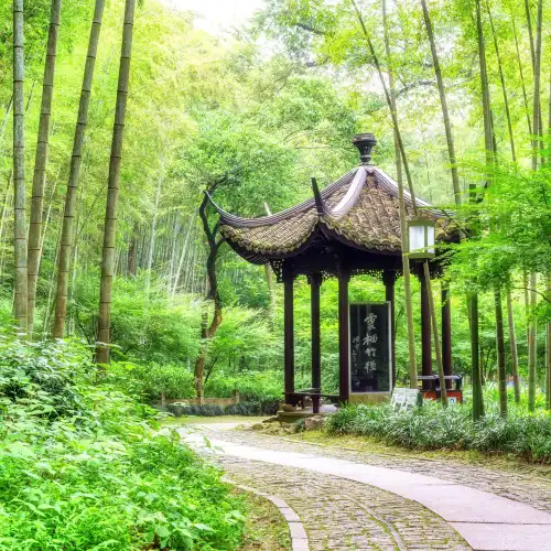 A Bamboo-Lined Path Yunqi