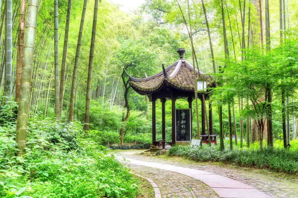 1_Bamboo-Lined Path at Yunqi
