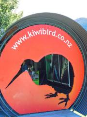 Vogelpark Kiwi Birdlife