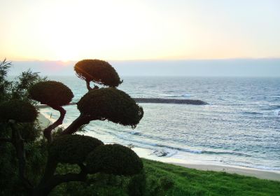 Izu Peninsula