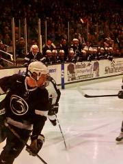 Pegula Ice Arena