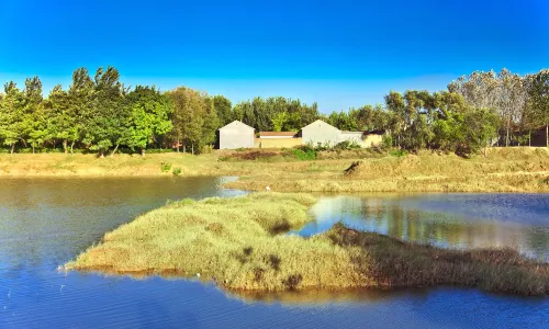 Moon Island