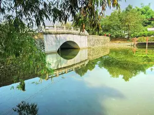 Yangmei Ancient Town