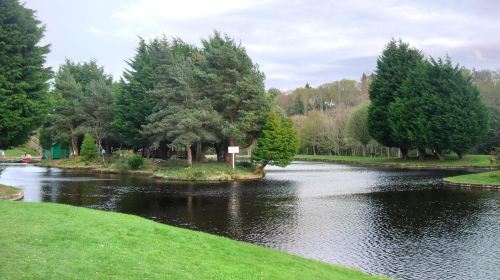 Whin Park