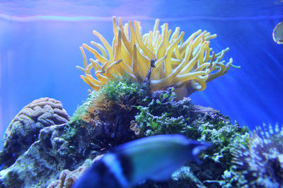 Punta Culebra Nature Center