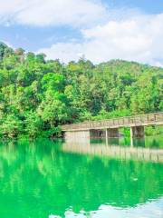 王子山森林公園