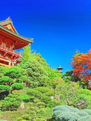 Vườn trà Nhật Bản ở Công viên Cổng Vàng