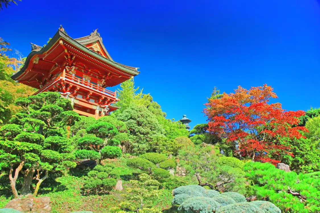 Hotels near Japanese Tea Garden