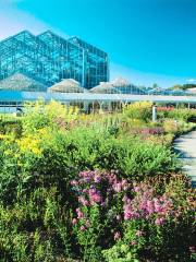 弗雷德里克·梅耶爾花園及雕塑公園