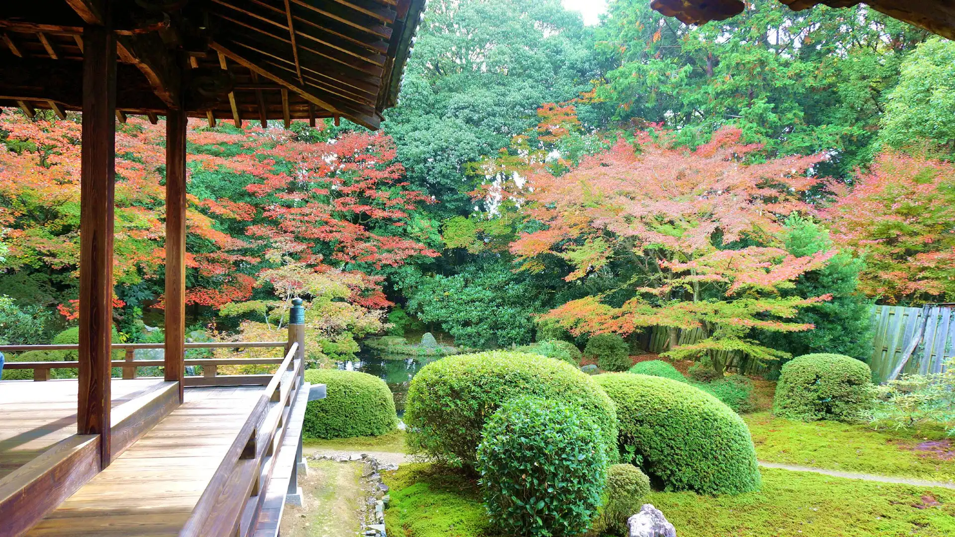 Hotels near Zuishin-in Temple