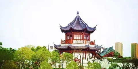 梅湖景區花博園