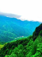 주링산 삼림공원