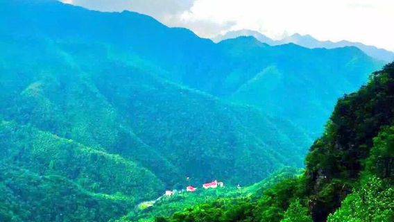 Jiulingshan Forest Park