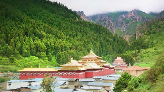 Taktsang Lhamo Kirti Gompa