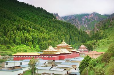 Taktsang Lhamo Kirti Gompa