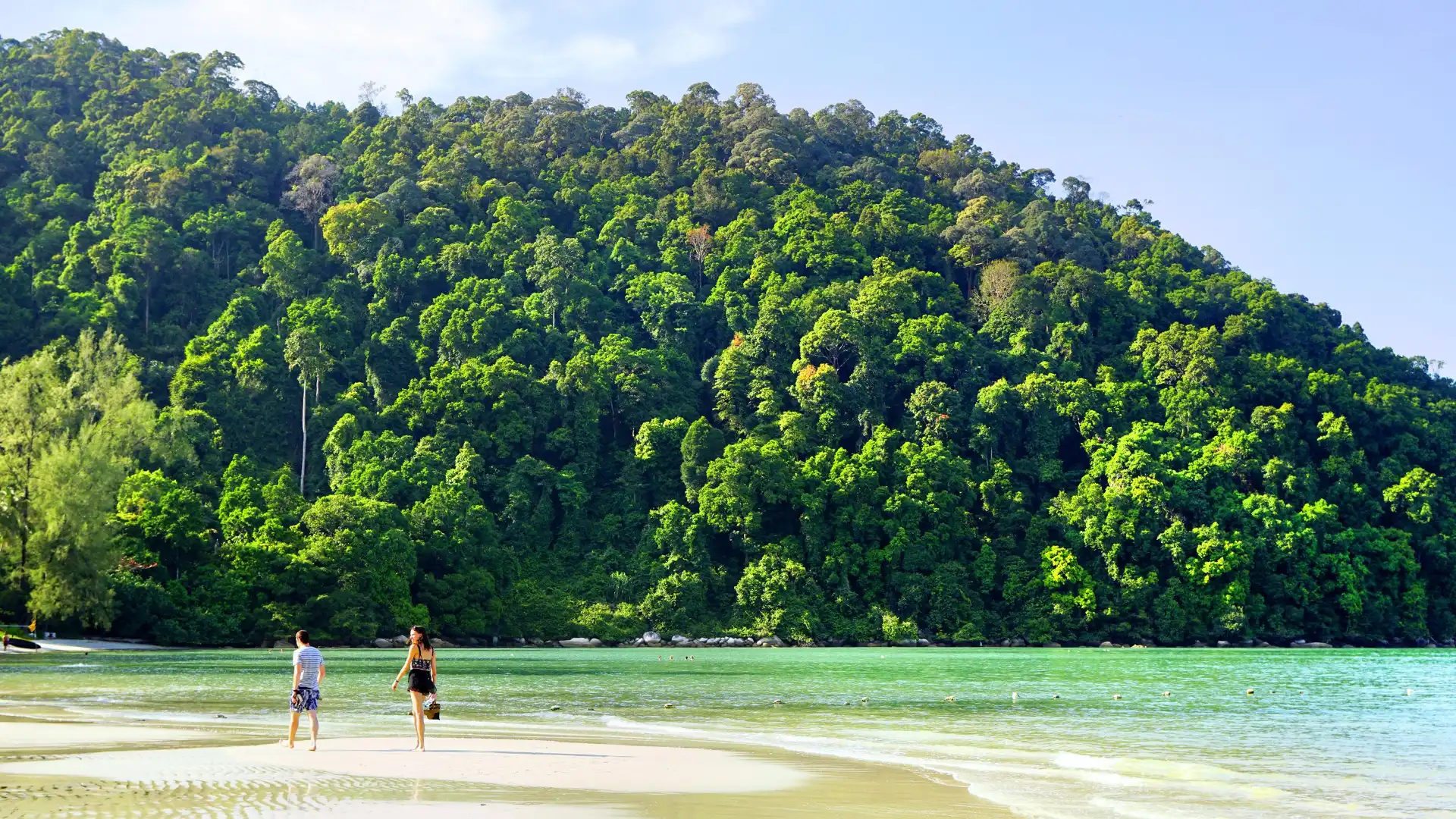 Hotels near Monkey Beach