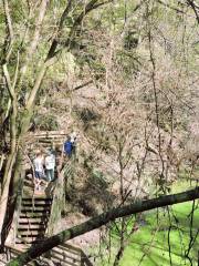 Devil's Millhopper Geological State Park