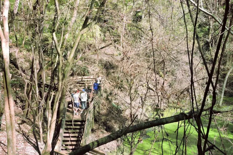 Devil's Millhopper Geological State Park