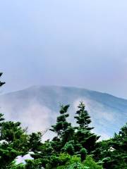 Gotemba-guchi shingogohme (Gotemba new 5th Station)