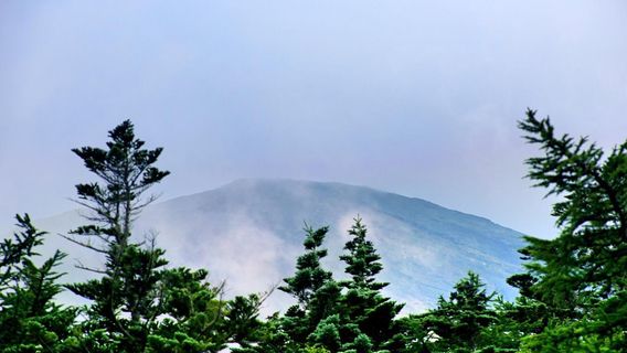 Gotemba-guchi shingogohme (Gotemba new 5th Station)