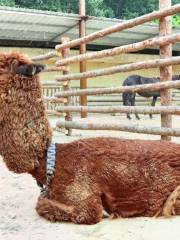 賈家莊民俗動物園