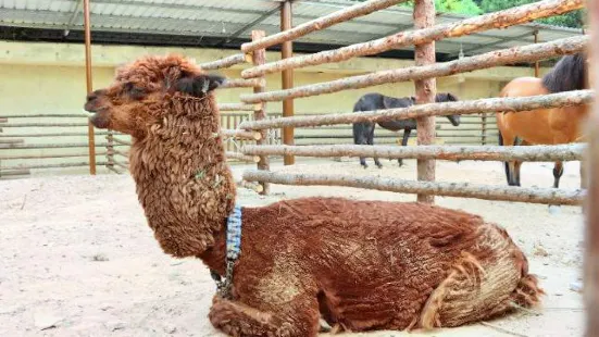 賈家莊民俗動物園