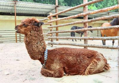 Jiajiazhuang Folk Customs Zoo