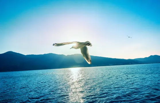 滇池+昆明石林風景區+昆明老街，市區周邊景點專業持證導遊講解，拍照，親子遊/家庭/公司團建