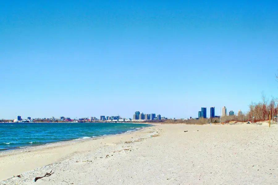 Hanlan's Point Beach