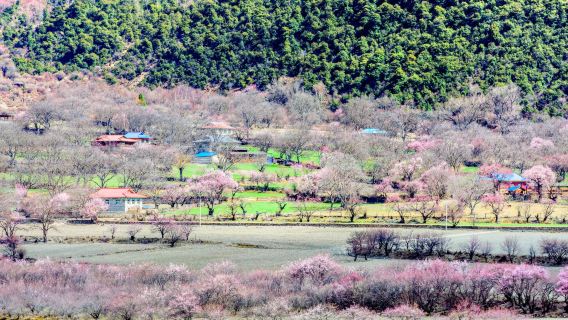 Galang Lake Scenic Area