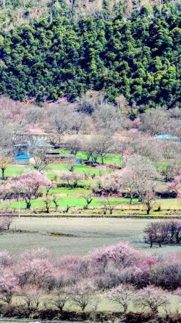 Hotels near Galang Lake Scenic Area