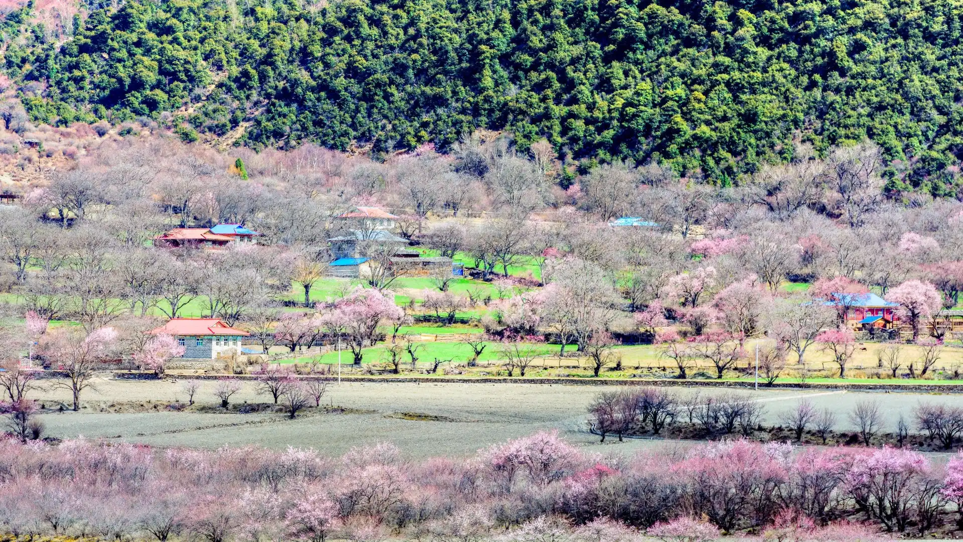 Hotels near Galang Lake Scenic Area