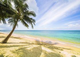 The Lookout Koh Samui โรงแรมใกล้เคียง