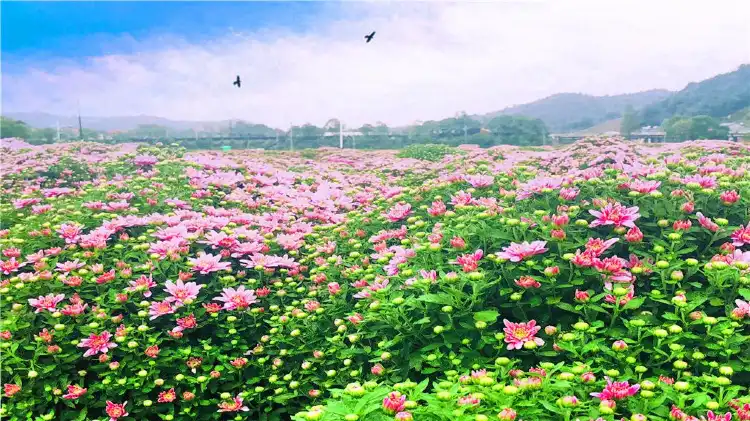 Hotels near Jiangnan Desert