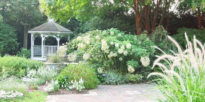 JC Raulston Arboretum