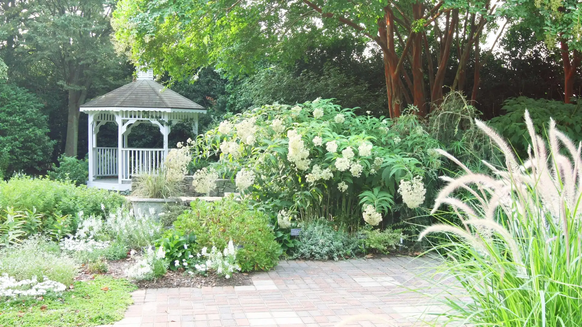 Hotels near JC Raulston Arboretum
