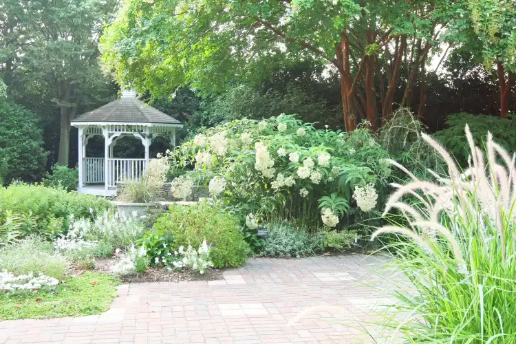 Hotels near JC Raulston Arboretum
