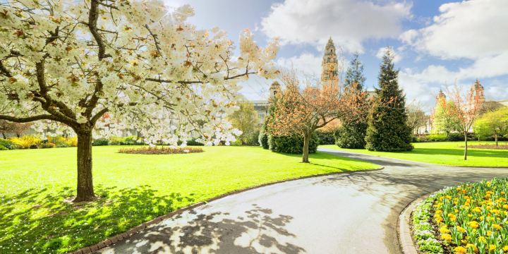 Bute Park